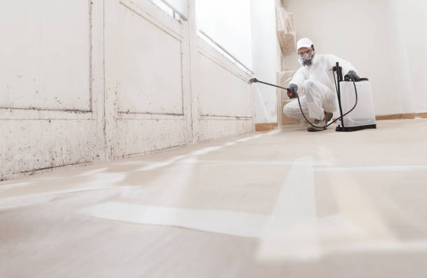 24/7 Emergency Mold Remediation experts in Warrington, PA