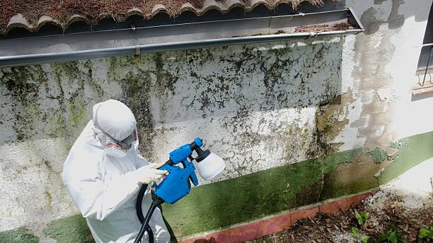 Top rated local Mold Remediation specialists in Warrington, PA